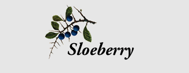SLOEBERRY TRADING logo